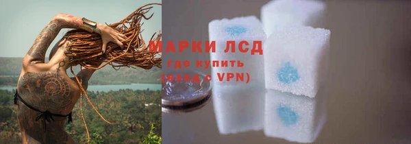 спиды Михайлов