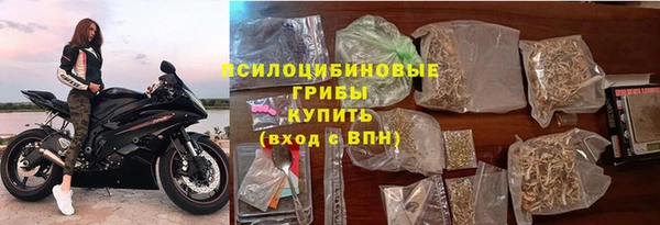 спиды Михайлов