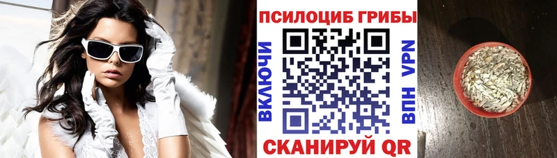 Псилоцибиновые грибы Cubensis  Новосиль 
